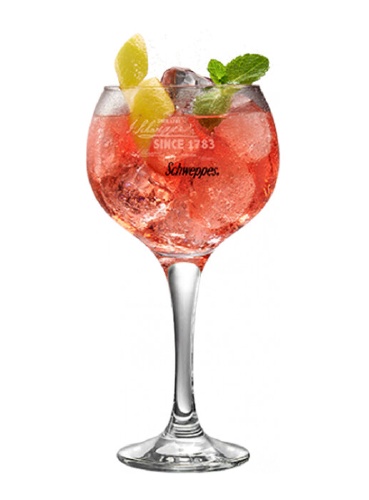 Gin Pasión & Schweppes Toque de Lima 🌺 (Ginebras Infusionadas)